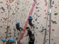 Beavers Climbing