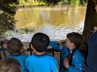 Beavers in the Park