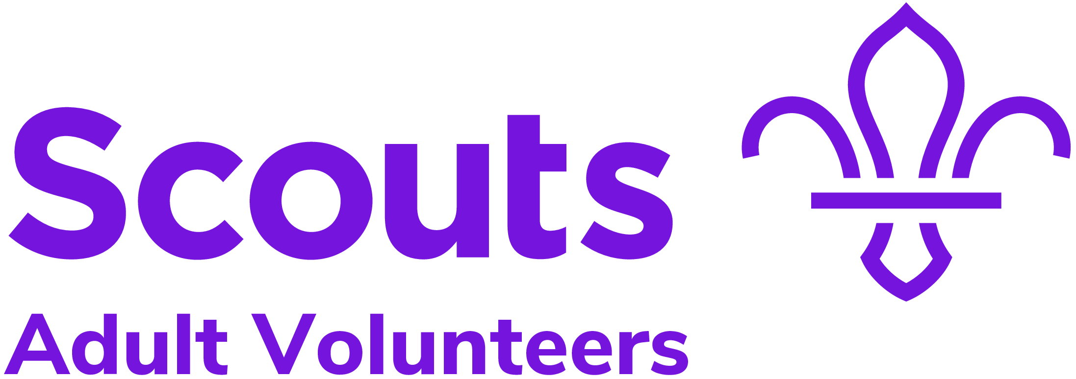 Adult Volunteers